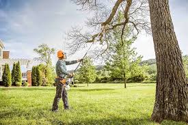 Best Storm Damage Tree Cleanup  in Gray, GA